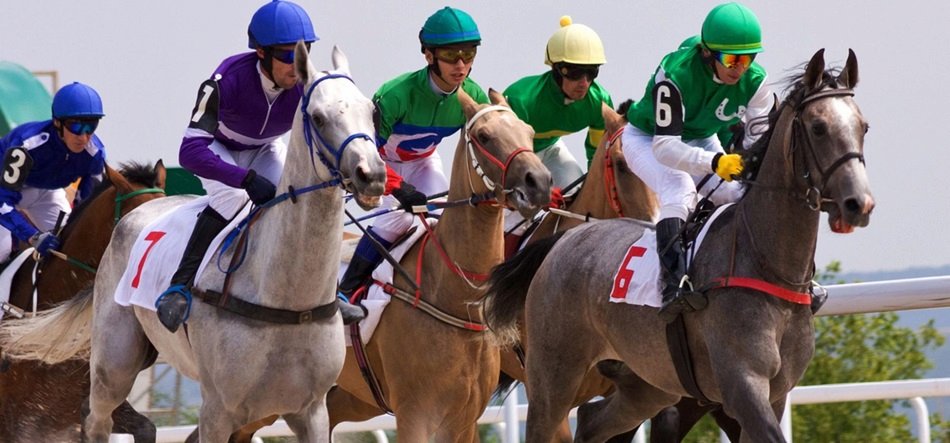 Paris sportifs et hippiques